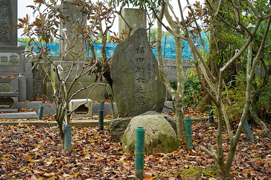 福田グリーン農園_3