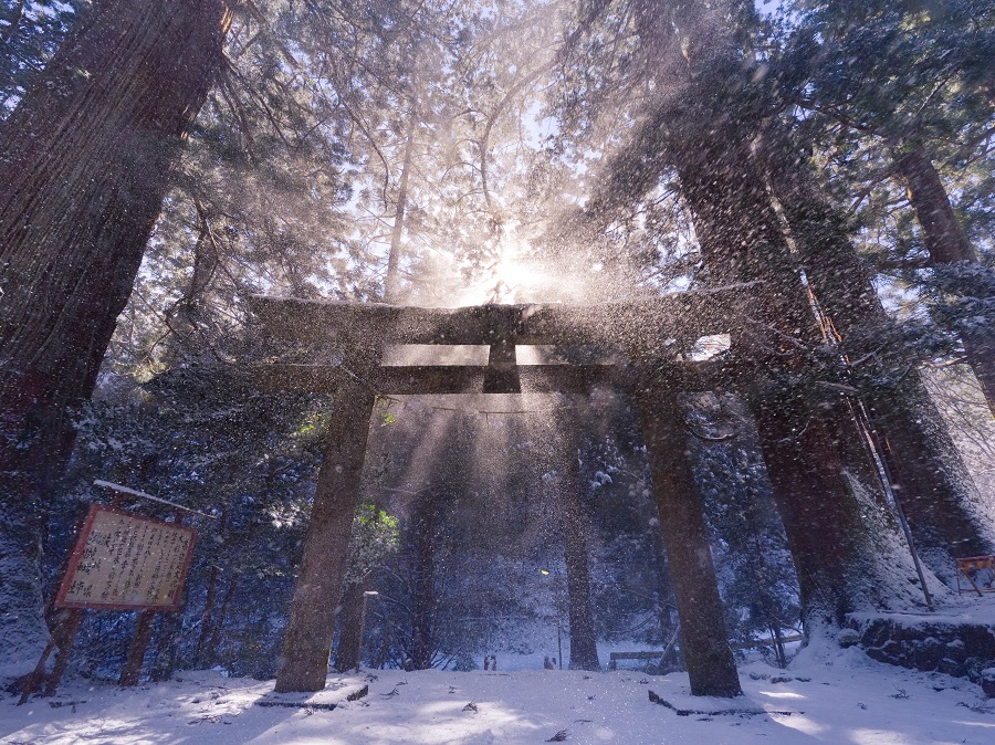 花園神社