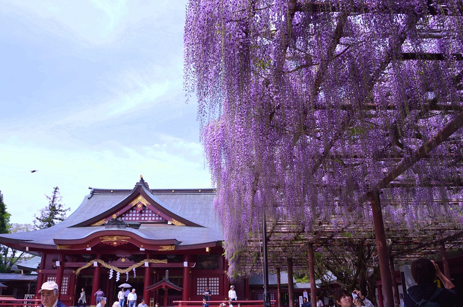 笠間稲荷神社