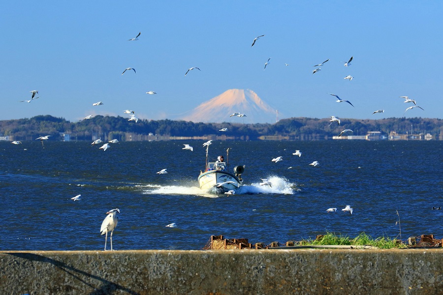 霞ヶ浦より富士を望む