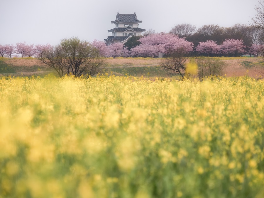 利根川