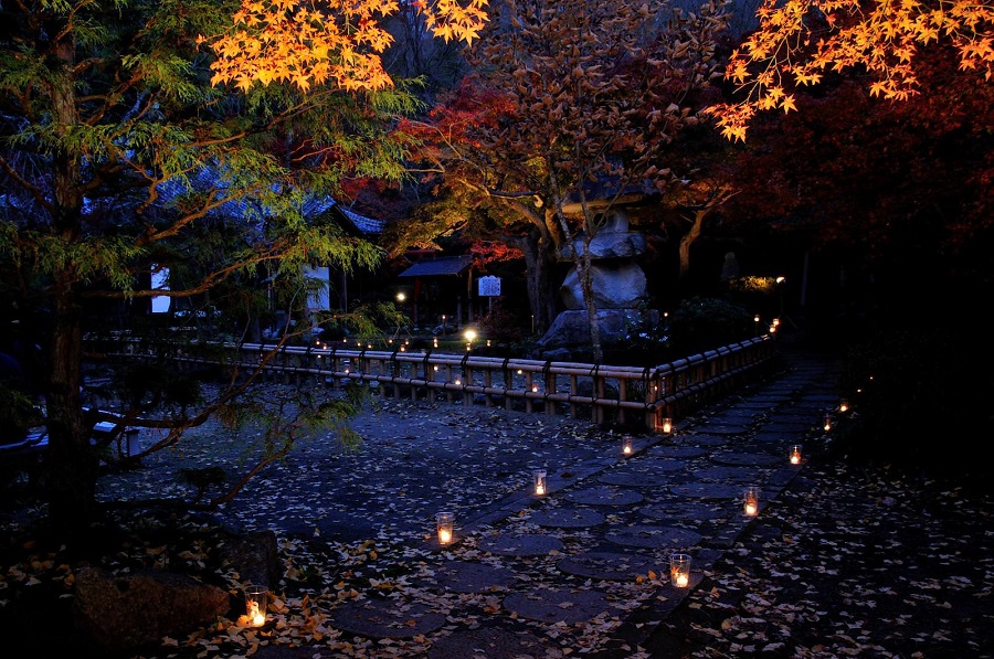 薬王寺のライトアップ