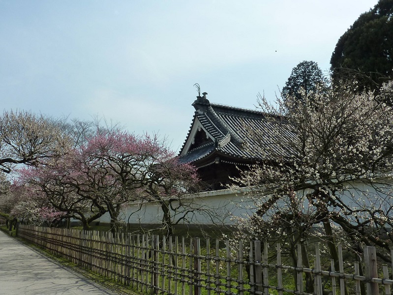 弘道館
