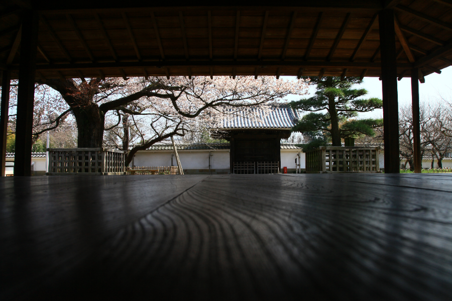 江戸時代から変わらぬ景色