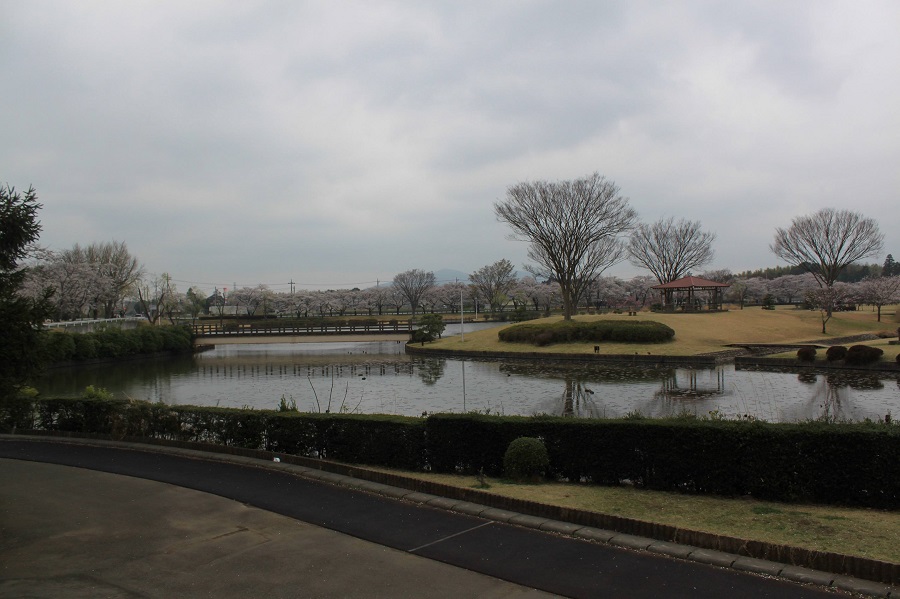 柏原池