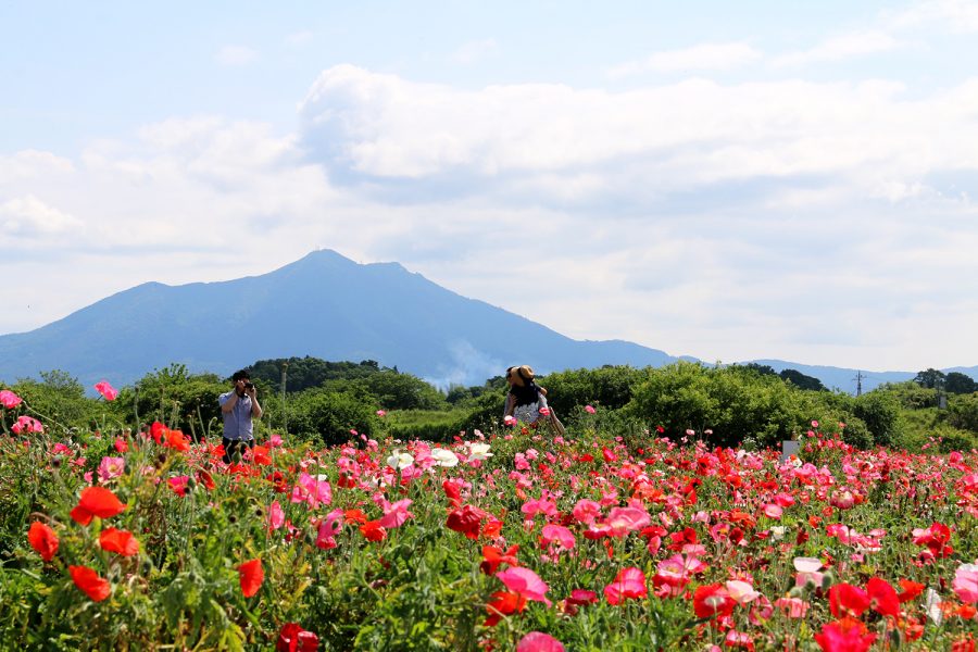 小貝川ふれあい公園