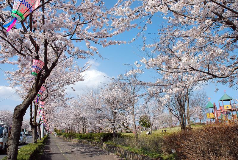 小貝川