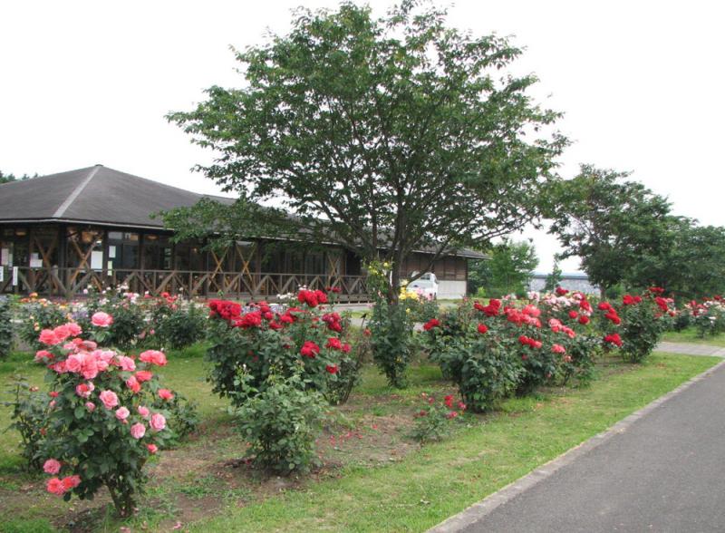 辰ノ口親水公園