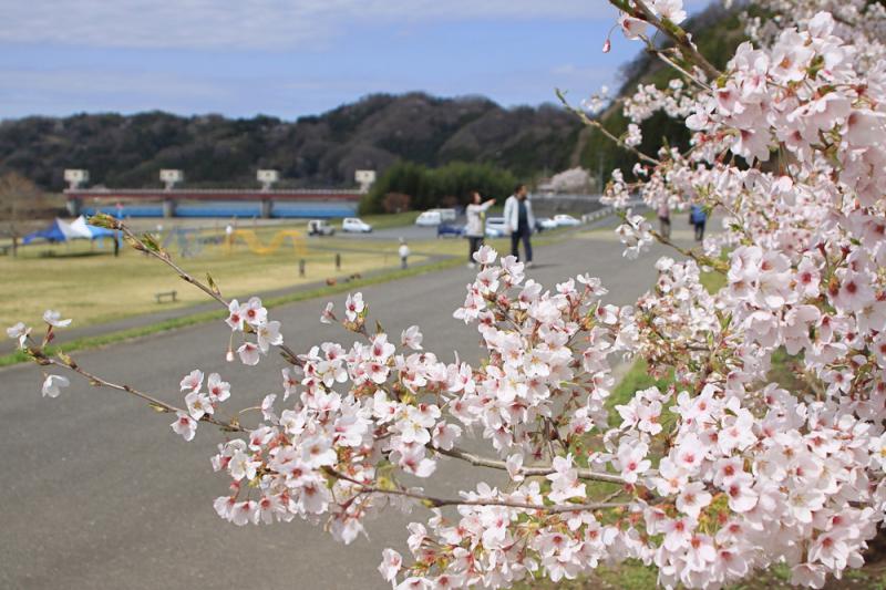 辰ノ口親水公園