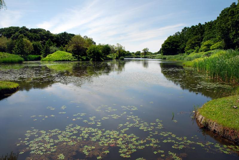 古河公方公園(古河総合公園)