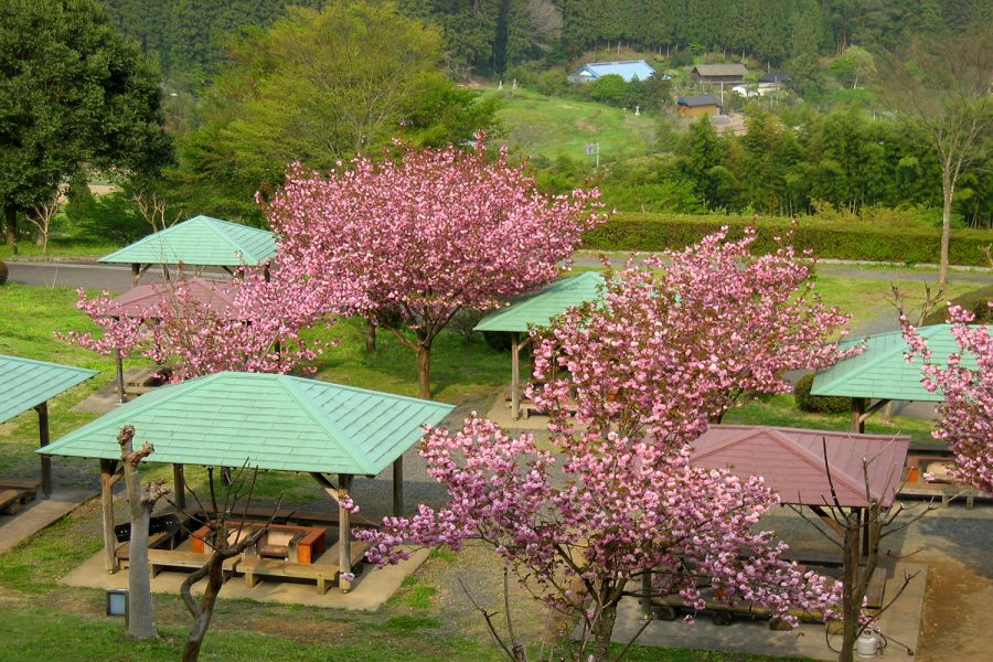 やすらぎの里公園