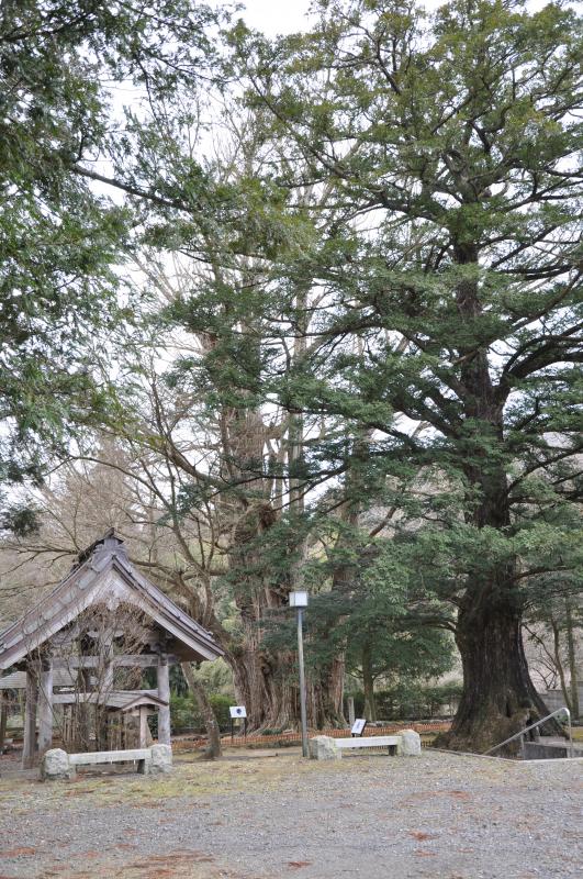 法龍寺