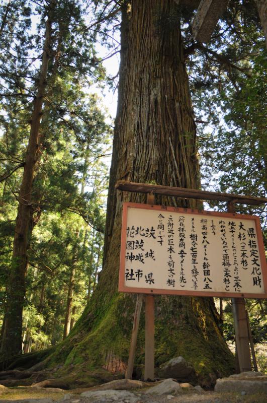 花園神社