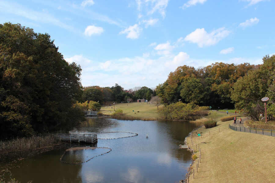 ミュージアムパーク茨城県自然博物館