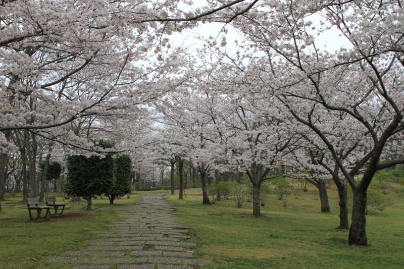 八坂総合公園