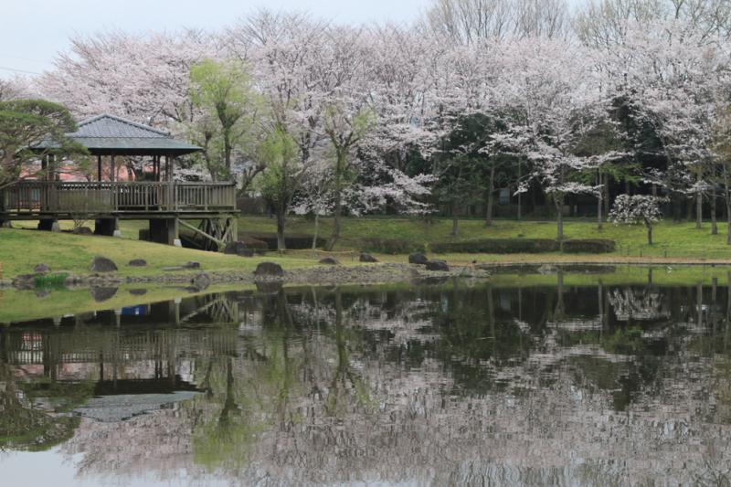 八坂総合公園