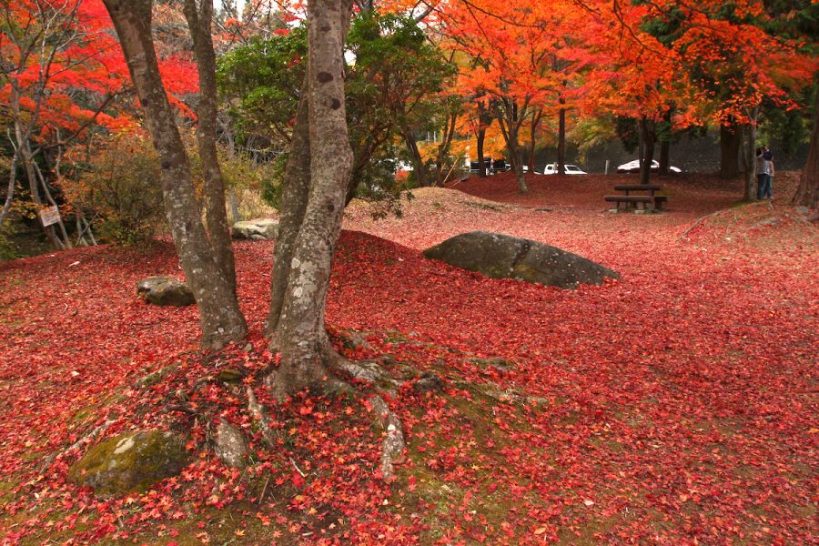 花貫渓谷