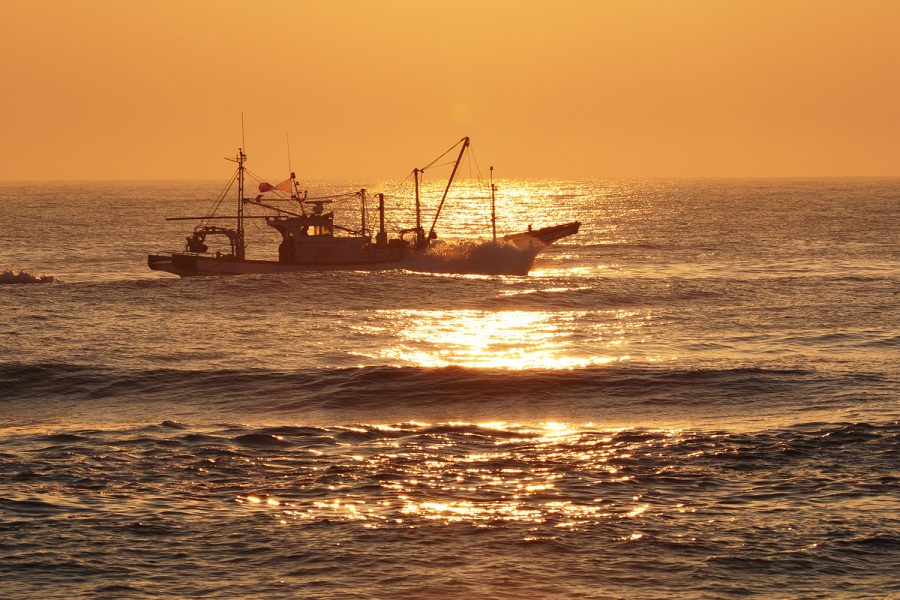 赤浜海岸