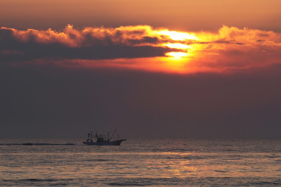 赤浜海岸