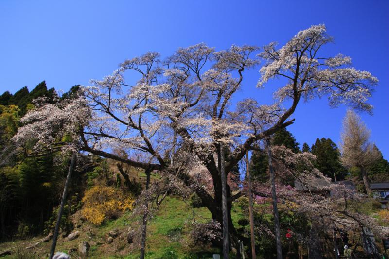 松岩寺