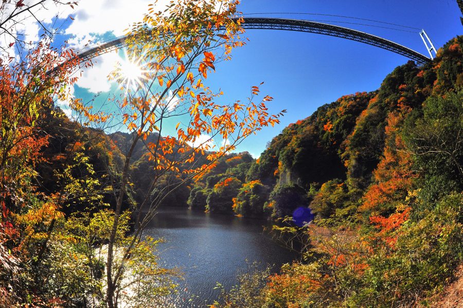 竜神大吊橋