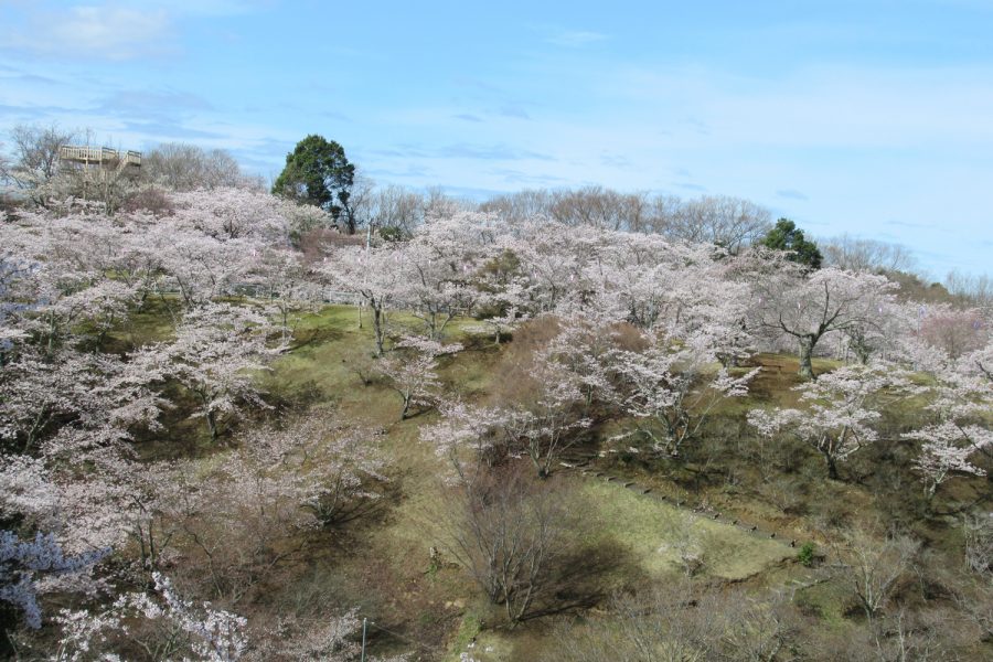 西山公園