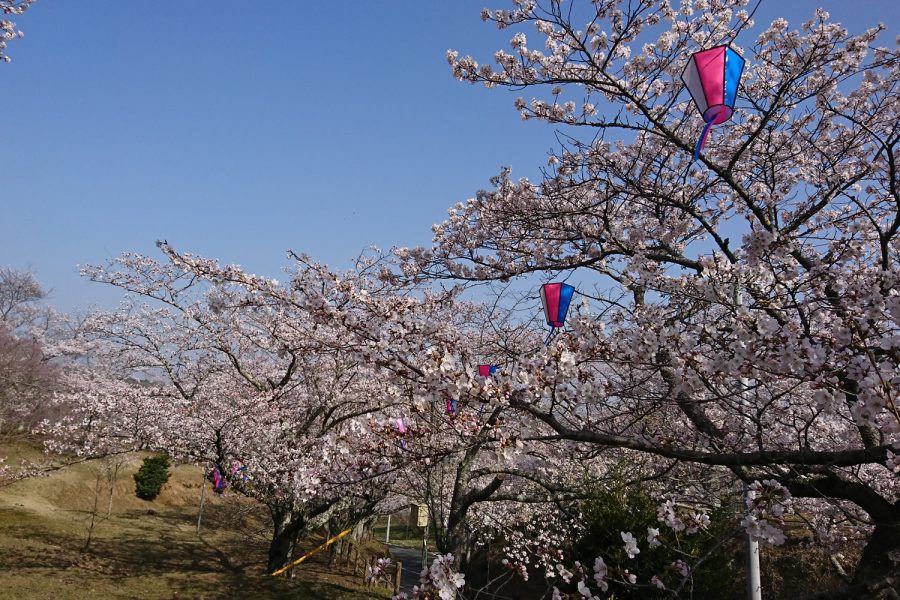 西山公園