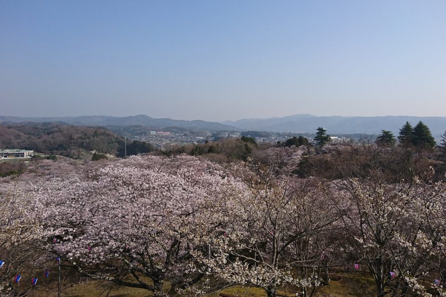 西山公園