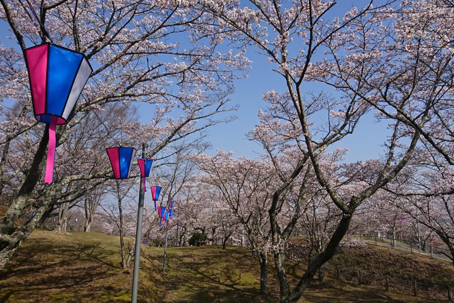 西山公園