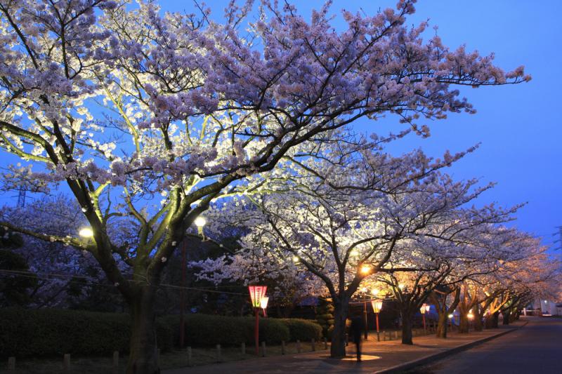 阿漕ケ浦公園 (あこぎがうらこうえん)