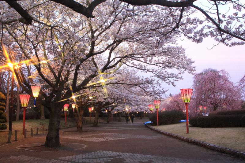 阿漕ケ浦公園 (あこぎがうらこうえん)