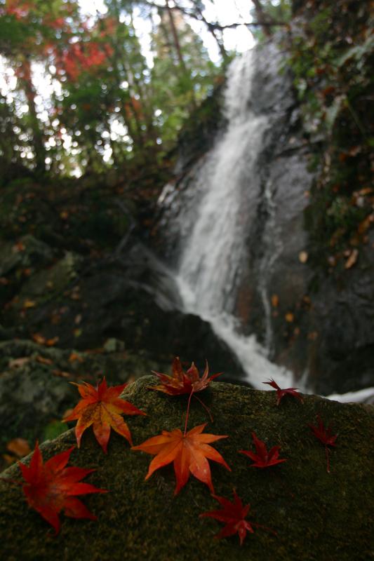 小木津山自然公園