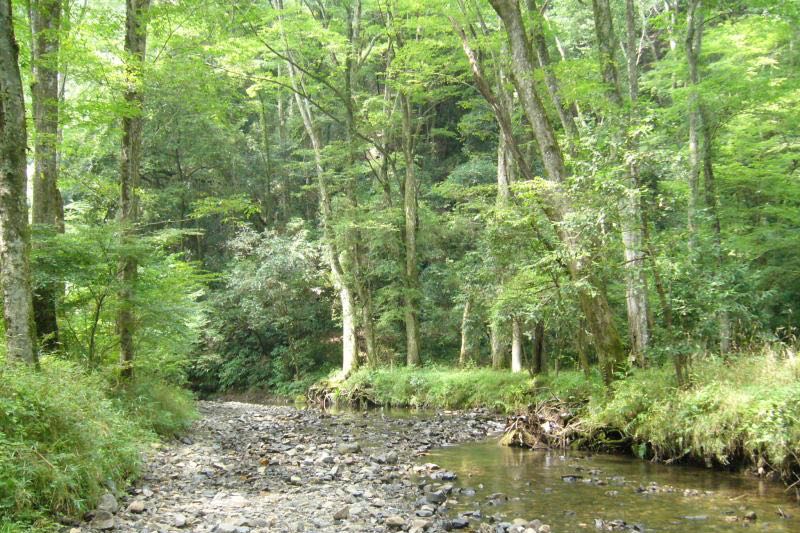 御前山県立自然公園