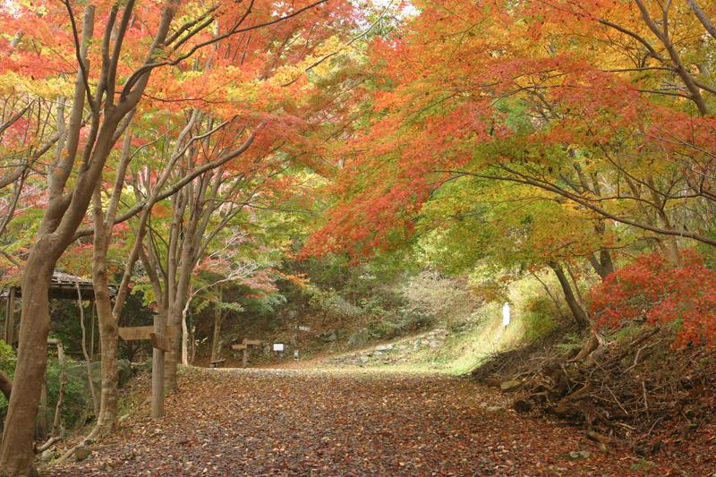 小木津山自然公園