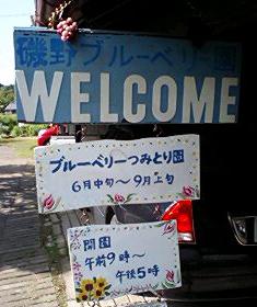 磯野ブルーベリー園