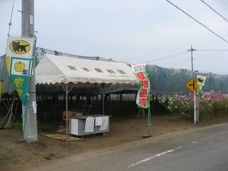 宮本観光果樹園