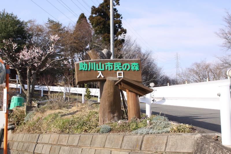 助川山市民の森