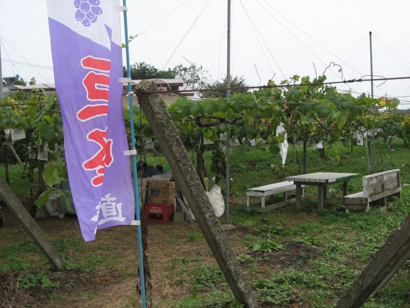 小松ぶどう園
