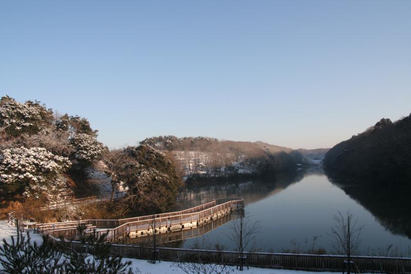 水郷県民の森