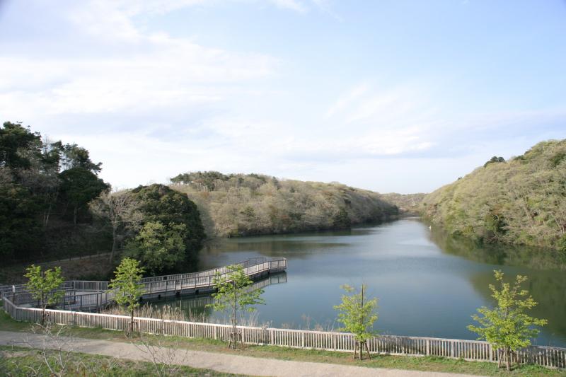 水郷県民の森