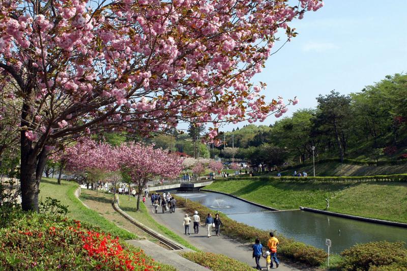 静峰ふるさと公園