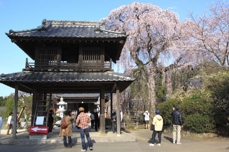 阿弥陀寺