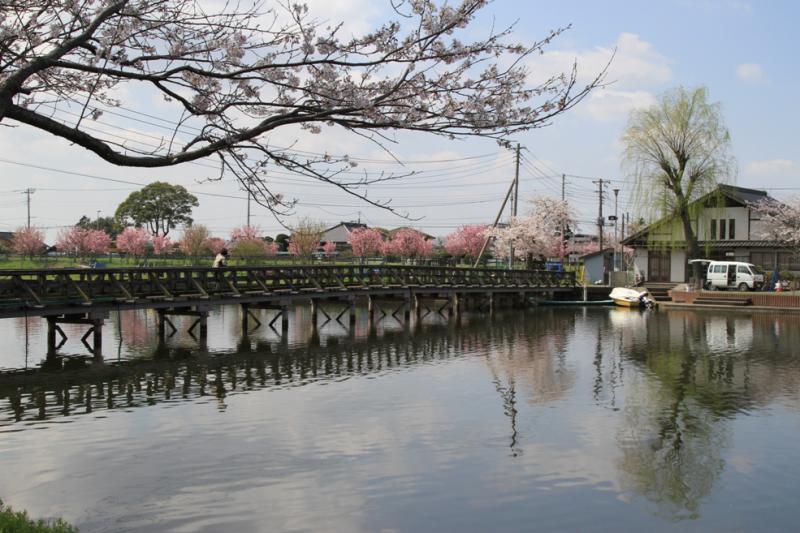 吉野公園