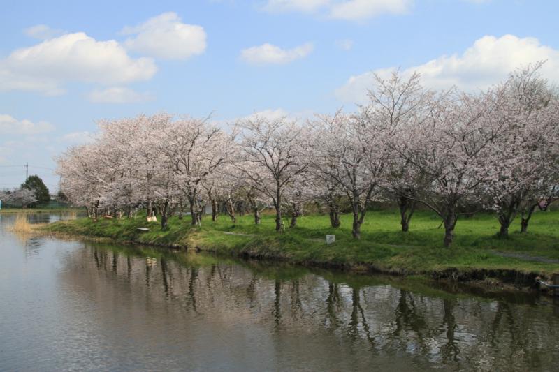 吉野公園