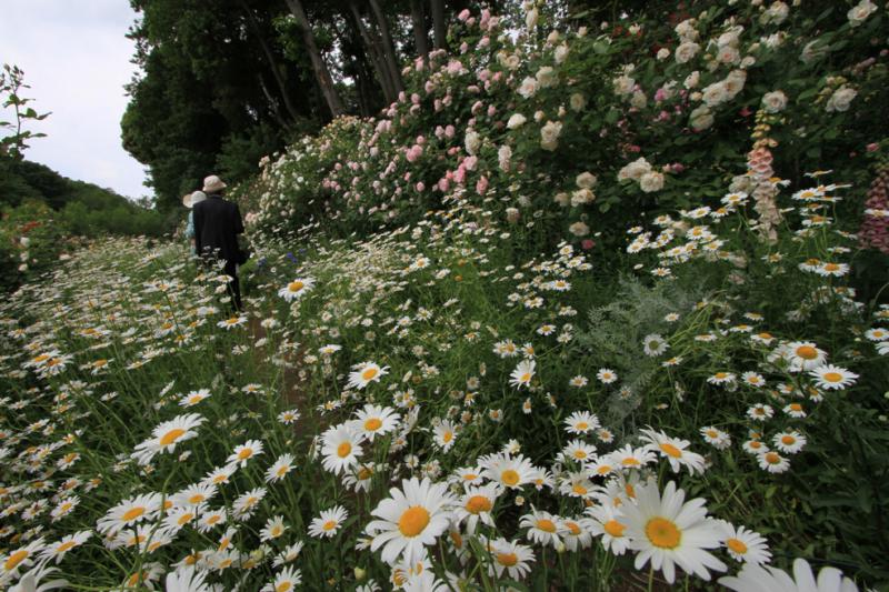 The Natural Gardens of Sakano(坂野ガーデン)