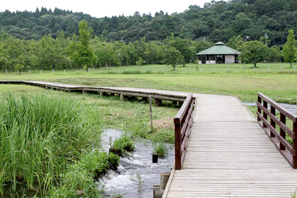 涸沼自然公園