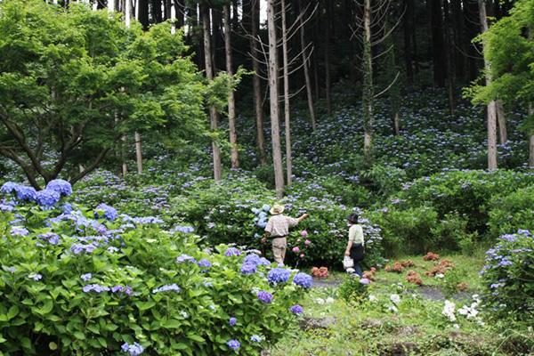 涸沼自然公園