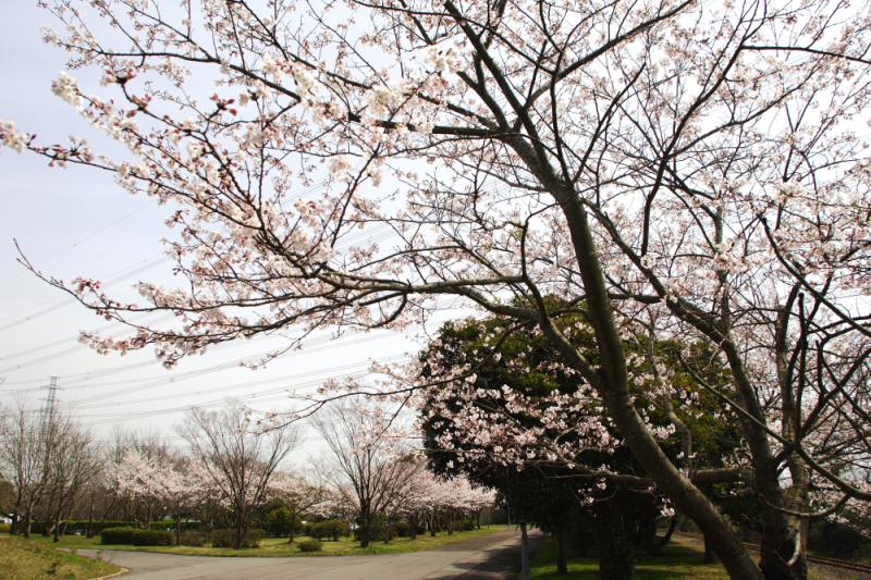 神之池緑地公園