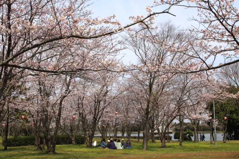 神之池緑地公園