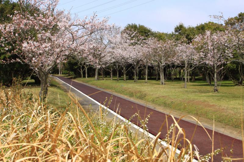 神之池緑地公園